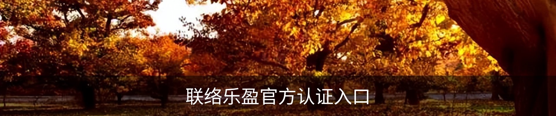 联络乐盈官方认证入口